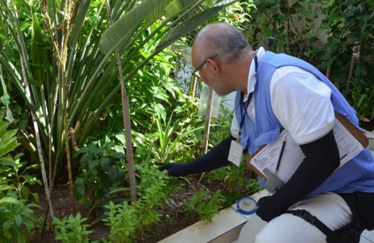 SAÚDE - Prefeitura e comunidade fazem limpeza no Argolo; cidade mantém luta contra o ‘mosquito da dengue’