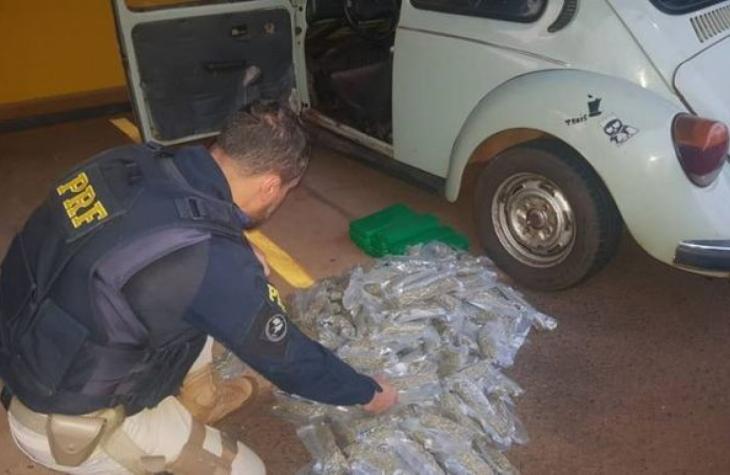 Polícia Rodoviária Federal prende casal transportando skunk e maconha comum em Ourinhos