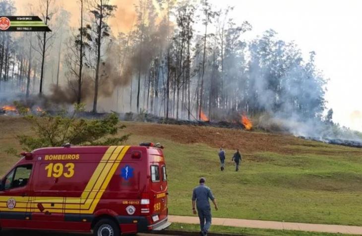 Avião cai em área de mata e sete pessoas morrem em Piracicaba
