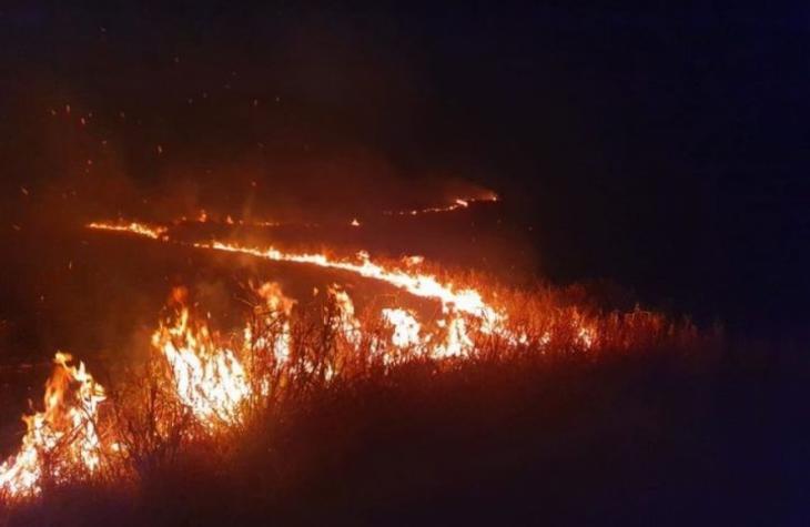 Enorme incêndio mobiliza Corpo de Bombeiros na região
