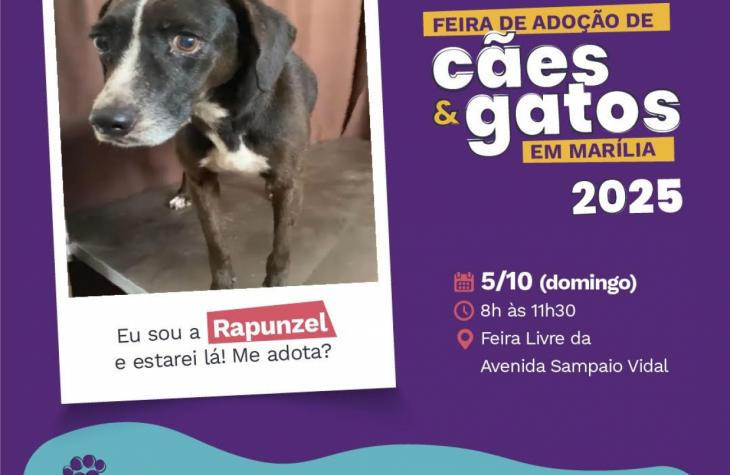 Entrevias realiza mais uma edição da Feira de Adoção em Marília