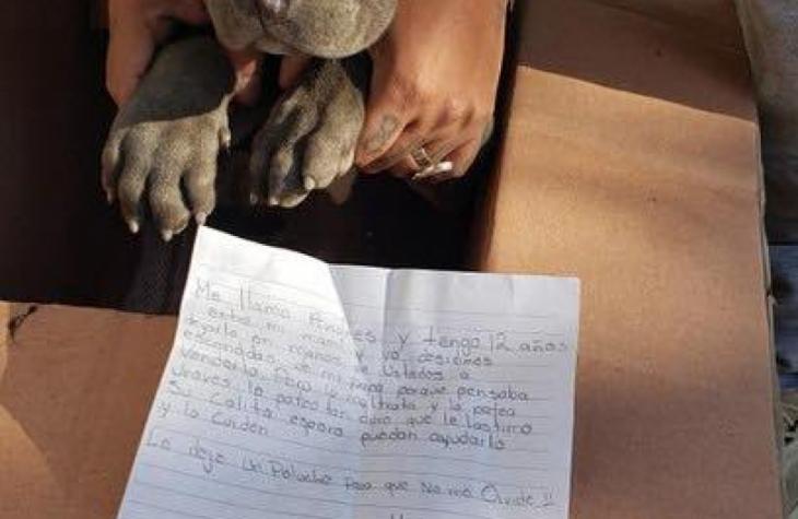 Garotinho abandona seu cão em abrigo e deixa carta emocionante