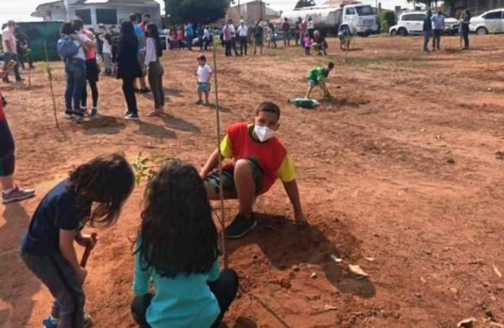 Plantio inicia formação de Bosque dos Ipês na zona norte de Marília