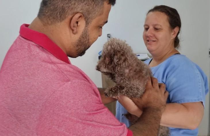 Pets perdidos em Marília são resgatados e entregue aos tutores todos os meses