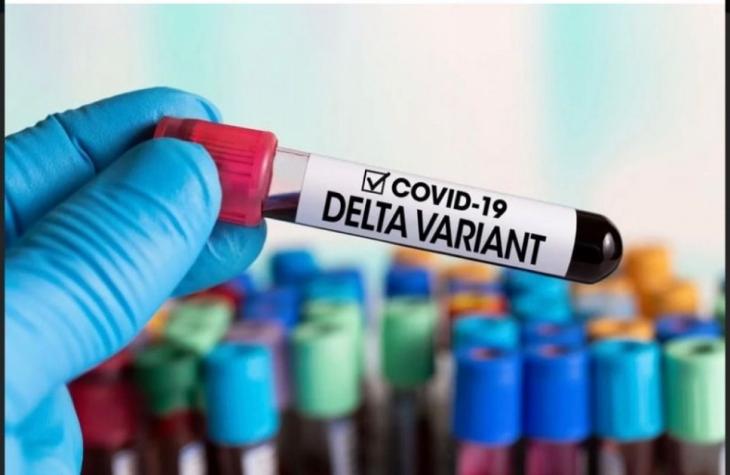 Estado confirma primeira morte pela variante Delta da Covid-19. Vítima é idosa de 74 anos