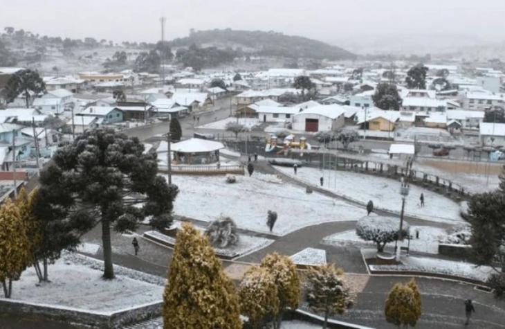 Geadas e frio intenso podem afetar os preços dos alimentos; entenda