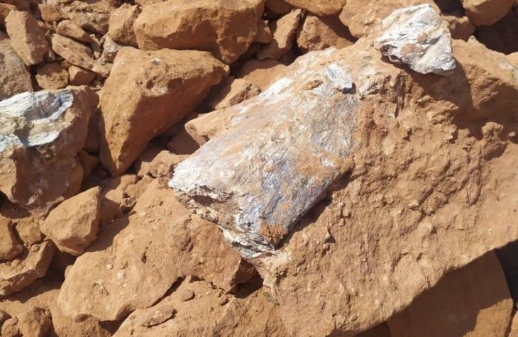Novo osso de dinossauro é encontrado em Marília