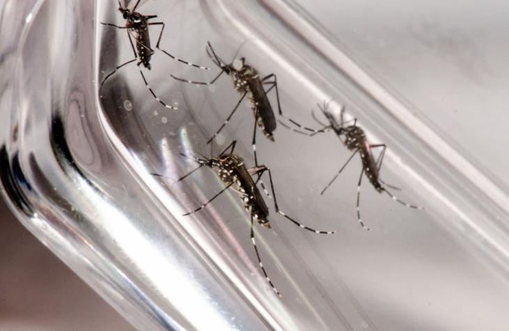 Marília confirma primeira morte por dengue em 2020
