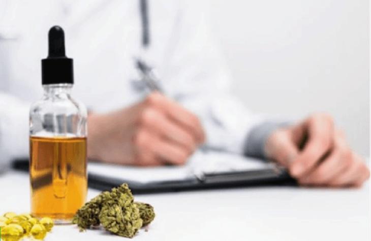 Câmara realiza hoje audiência pública sobre a cannabis medicinal
