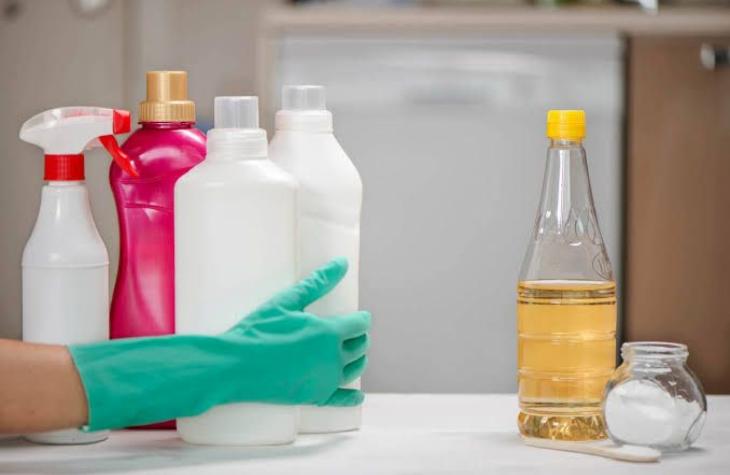 Ciência: Vinagre limpa a casa e elimina bactérias em minutos