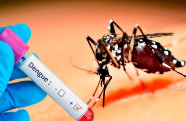 Sobe para 48 o total de casos de dengue em Marília