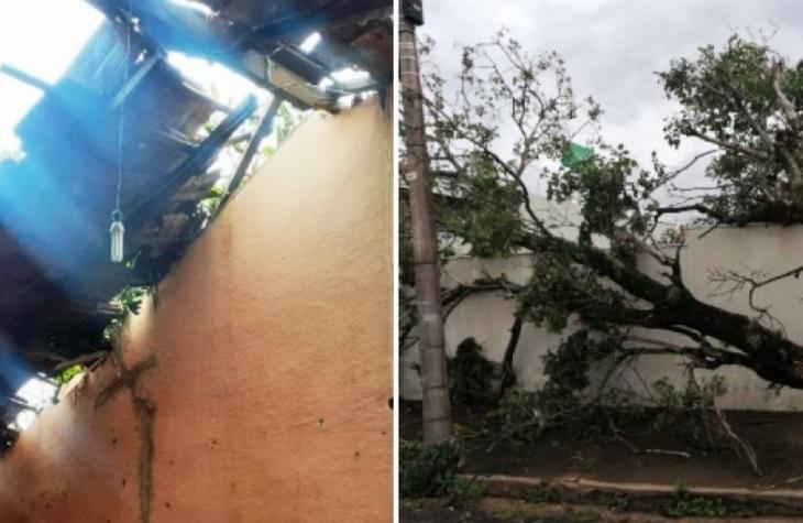 Limpeza após temporal mobiliza equipes em Marília